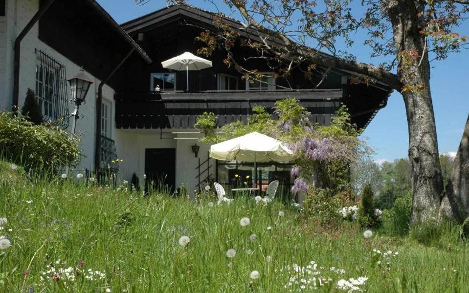 Ferienhaus Nest Blaichach Exterior foto