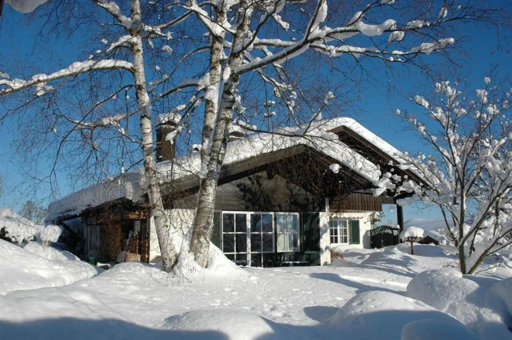 Ferienhaus Nest Blaichach Exterior foto